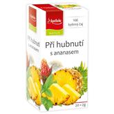 APOTHEKE NATUR Při hubnutí s ananasem 20x2g