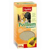 APOTHEKE Psyllium s ananasem 100g hubnoucí