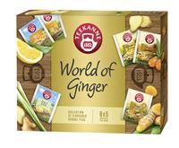 TEEKANNE-World of Ginger Collection 6x5 sáčků