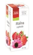 APOTHEKE Malina a jahoda + echinacea 20x2g