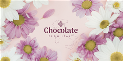 CHOCOLATE  Mléčná čokoláda s lískovými ořechy 100g KOPRETINA