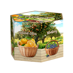 LIRAN kolekce čajů ORCHARD - 8x6x1,5g