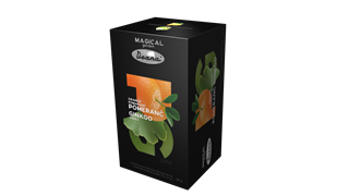 DRANA Magical Garden  pomeranč / ginkgo 20 x 2,5g