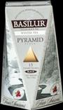 BASILUR Four Season Winter Tea Pyramid 15x2g